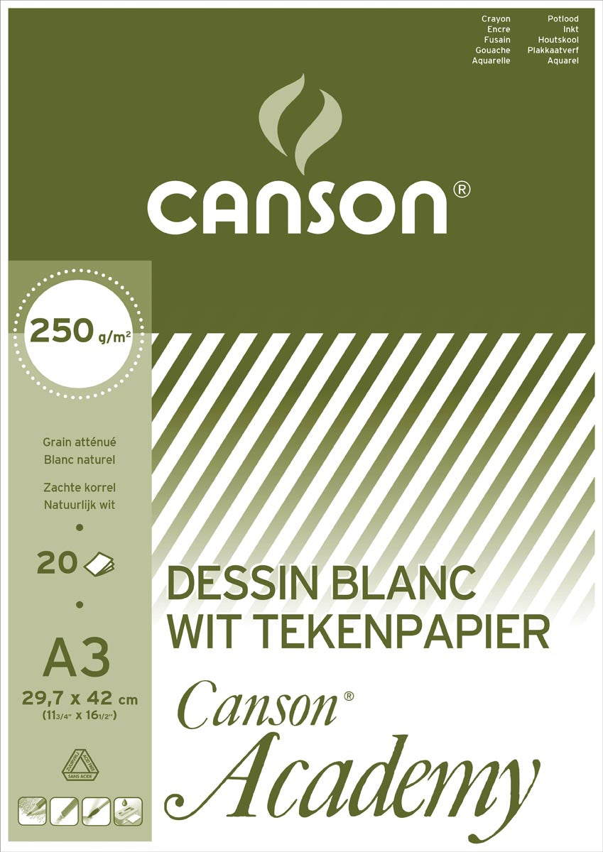 Canson - carta da disegno Academy, 250 g, ft 29,7 x 42 cm, A3, blocco da 20 fogli