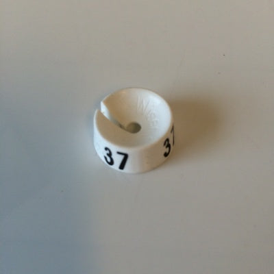 Klika - MB wit/zwart 37 voor op kledinghanger