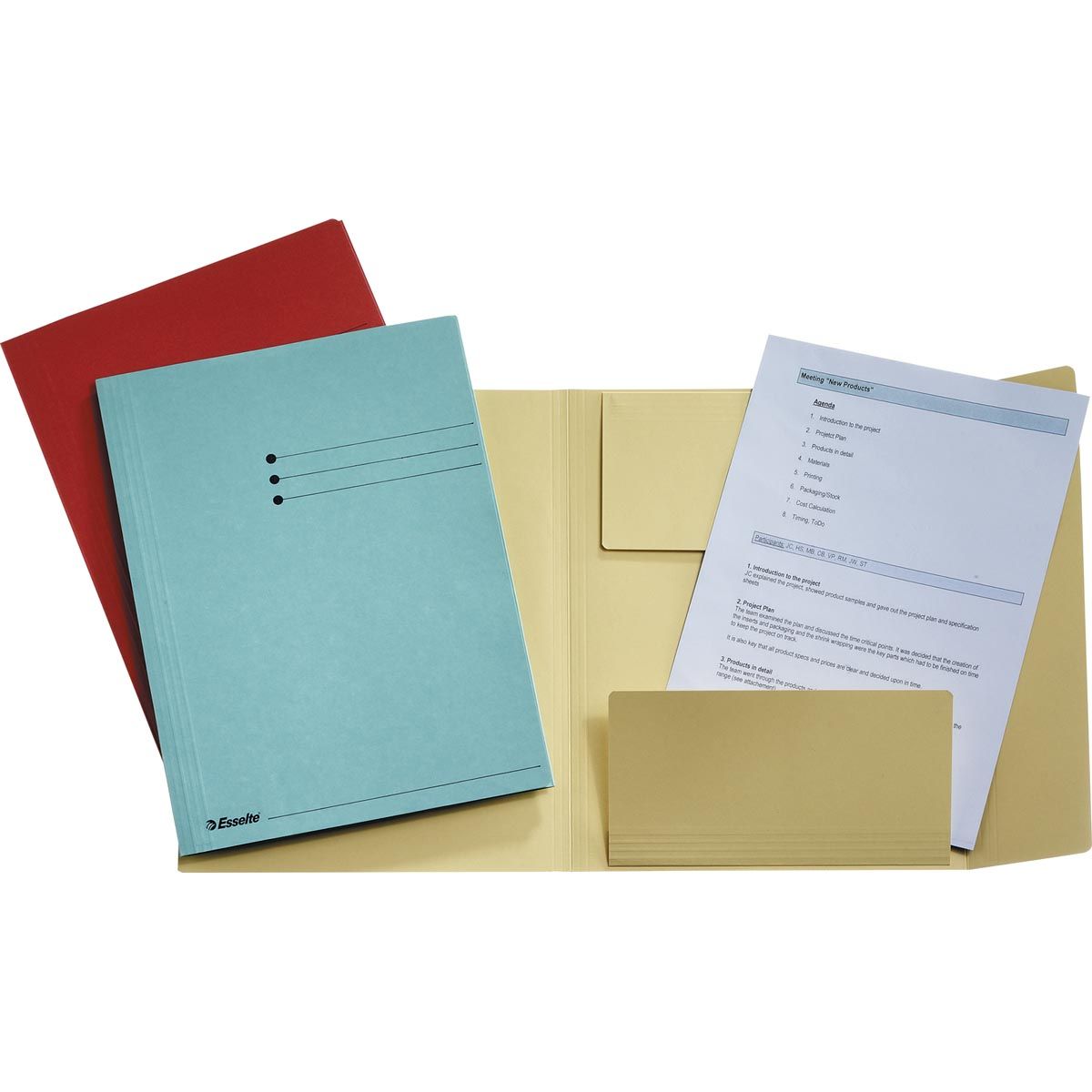 Esselte - carpeta archivadora colores surtidos, ft A4