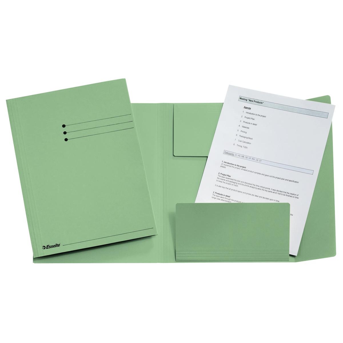 Esselte - file folder green, ft A4