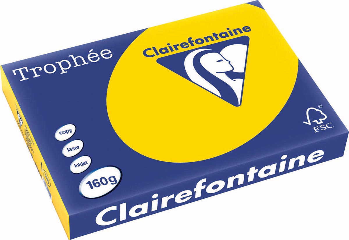 Clairefontaine - Trophée tel, farbiges Papier, A3, 160 g, 250 Blatt, goldgelb