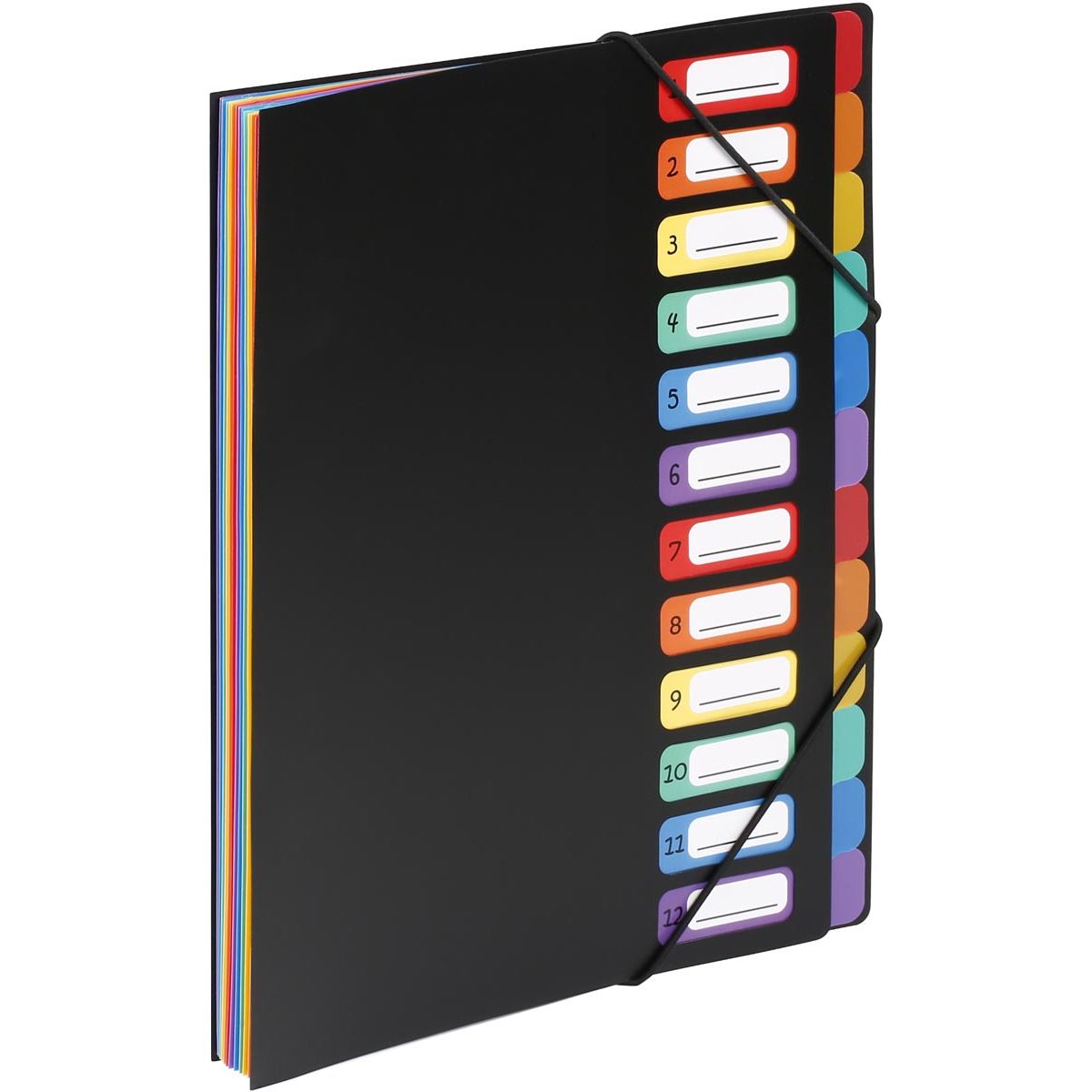 Viquel - Rainbow Class sorteermap, ft A4, met 12 vakken
