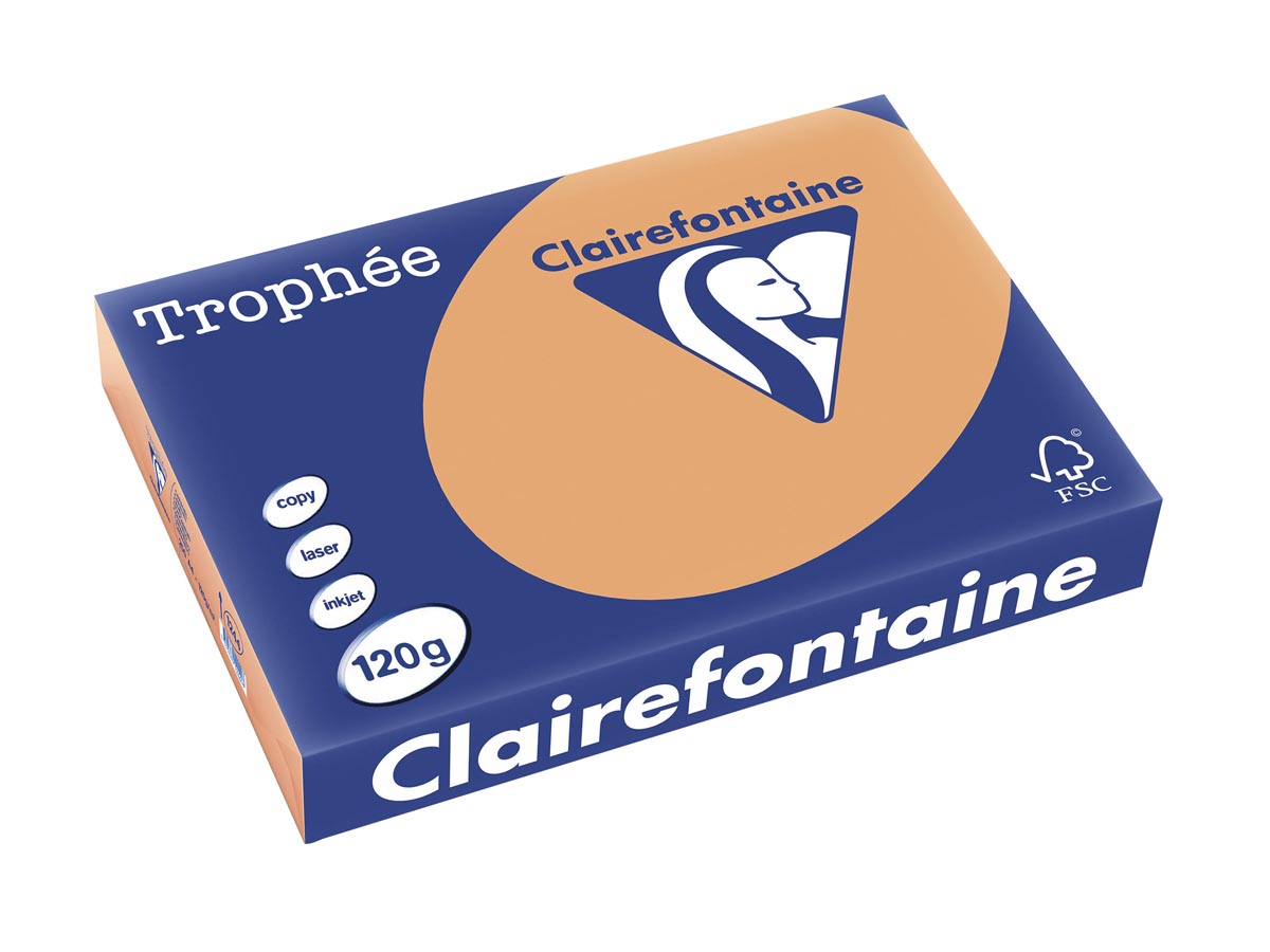 Clairefontaine - Trophée tel, papier coloré, A4, 120 g, 250 feuilles, marron moka