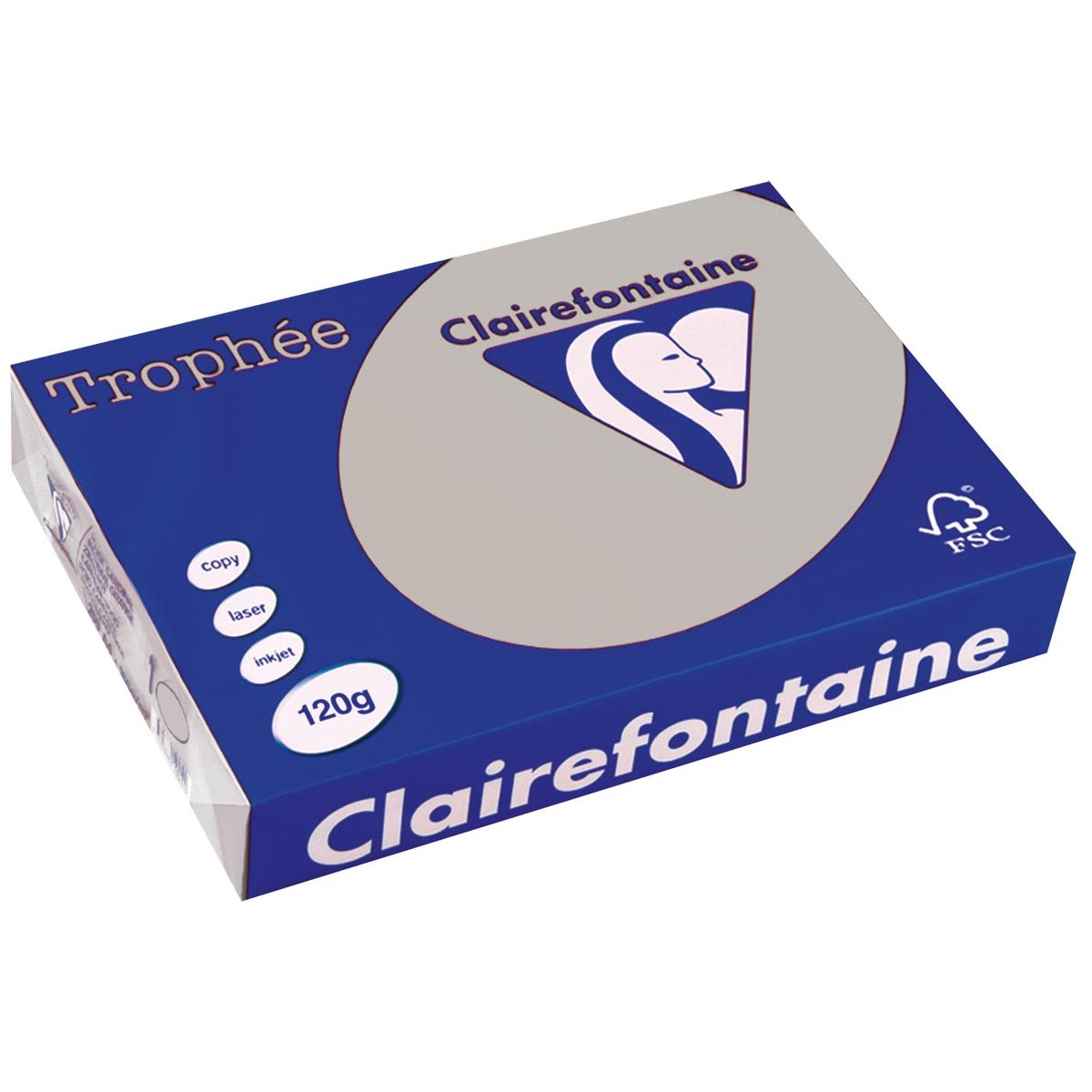 Clairefontaine - Trophée tel, colored paper, A4, 120 g, 250 sheets, light gray