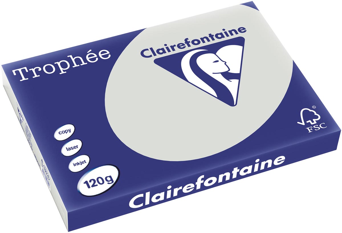 Clairefontaine - Trophée tel, carta colorata, A3, 120 g, 250 fogli, grigio chiaro