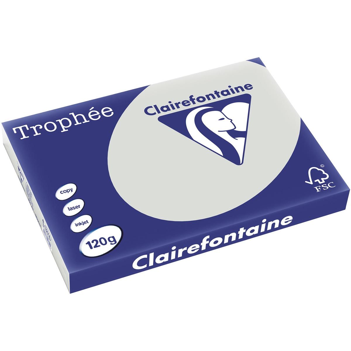Clairefontaine - Trophée tel, papel de color, A3, 120 g, 250 hojas, gris claro