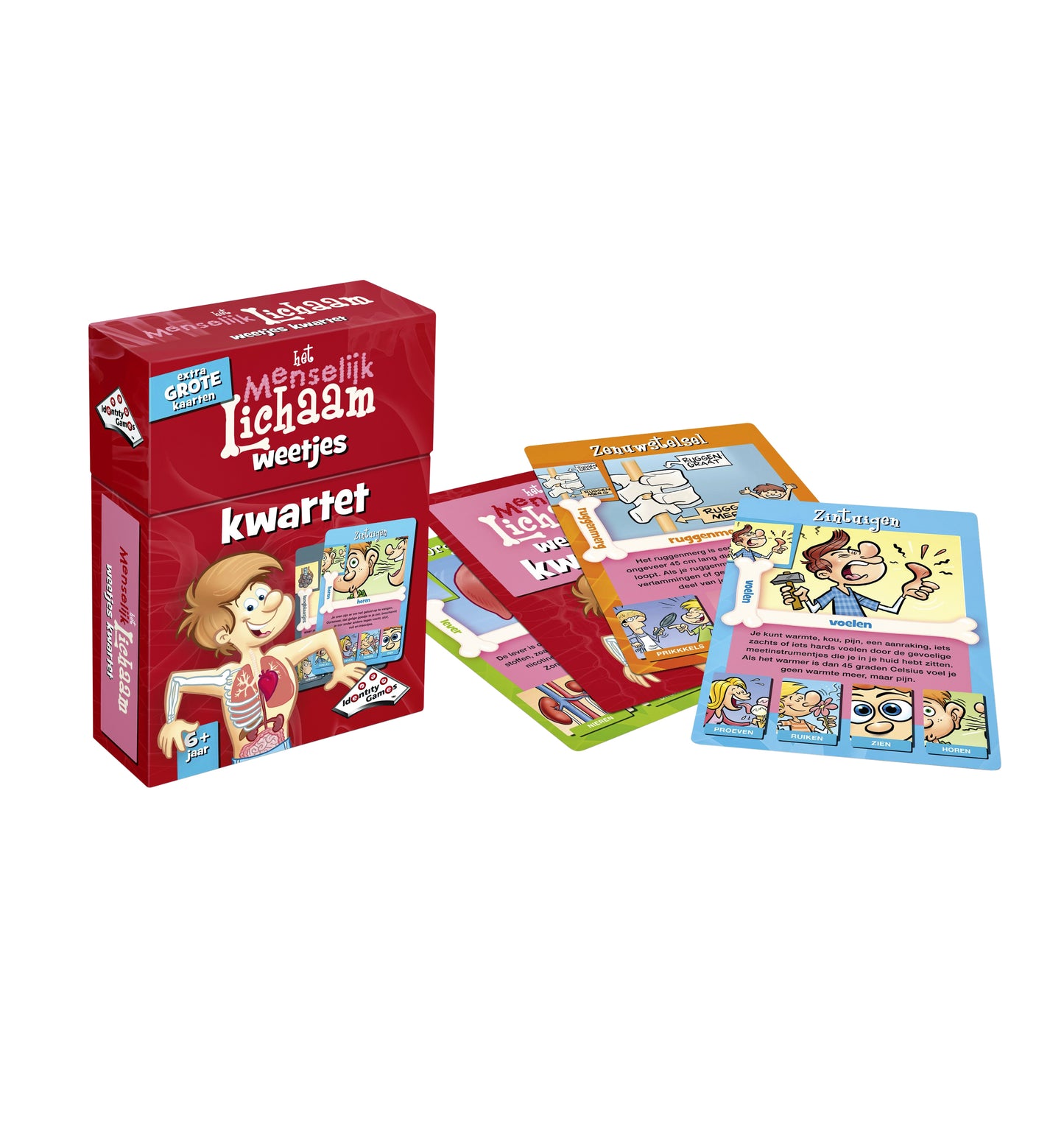 Identity Games - Menselijk lichaam weetjes kwartet