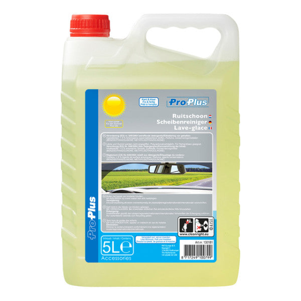 ProPlus - Scheibenflüssigkeit Sommer gebrauchsfertig 5L