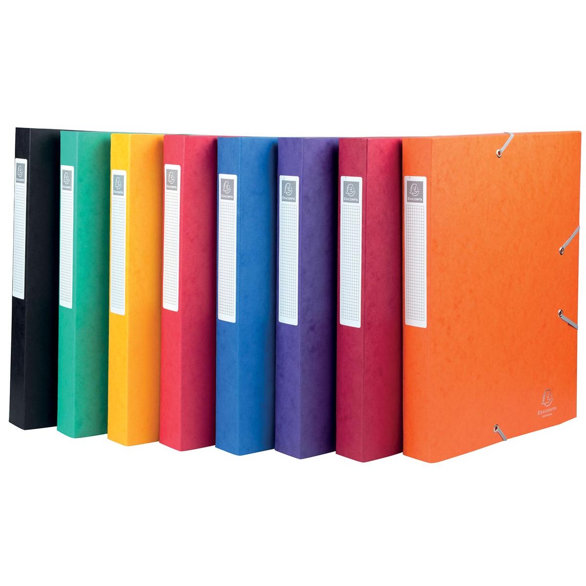 Exacompta - Elastobo Cartobox spine of 4 cm, assorted colours