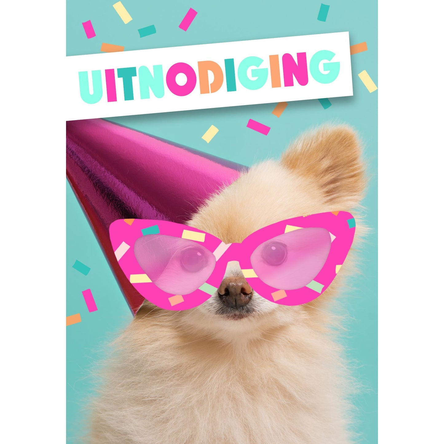 Hallmark - Uitnodiging hond met zonnebril 4x9cm