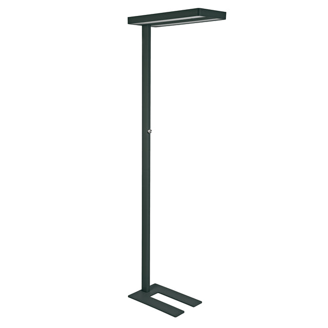 MAUL - Floor lamp Javal LED dimmable black high 195cm
