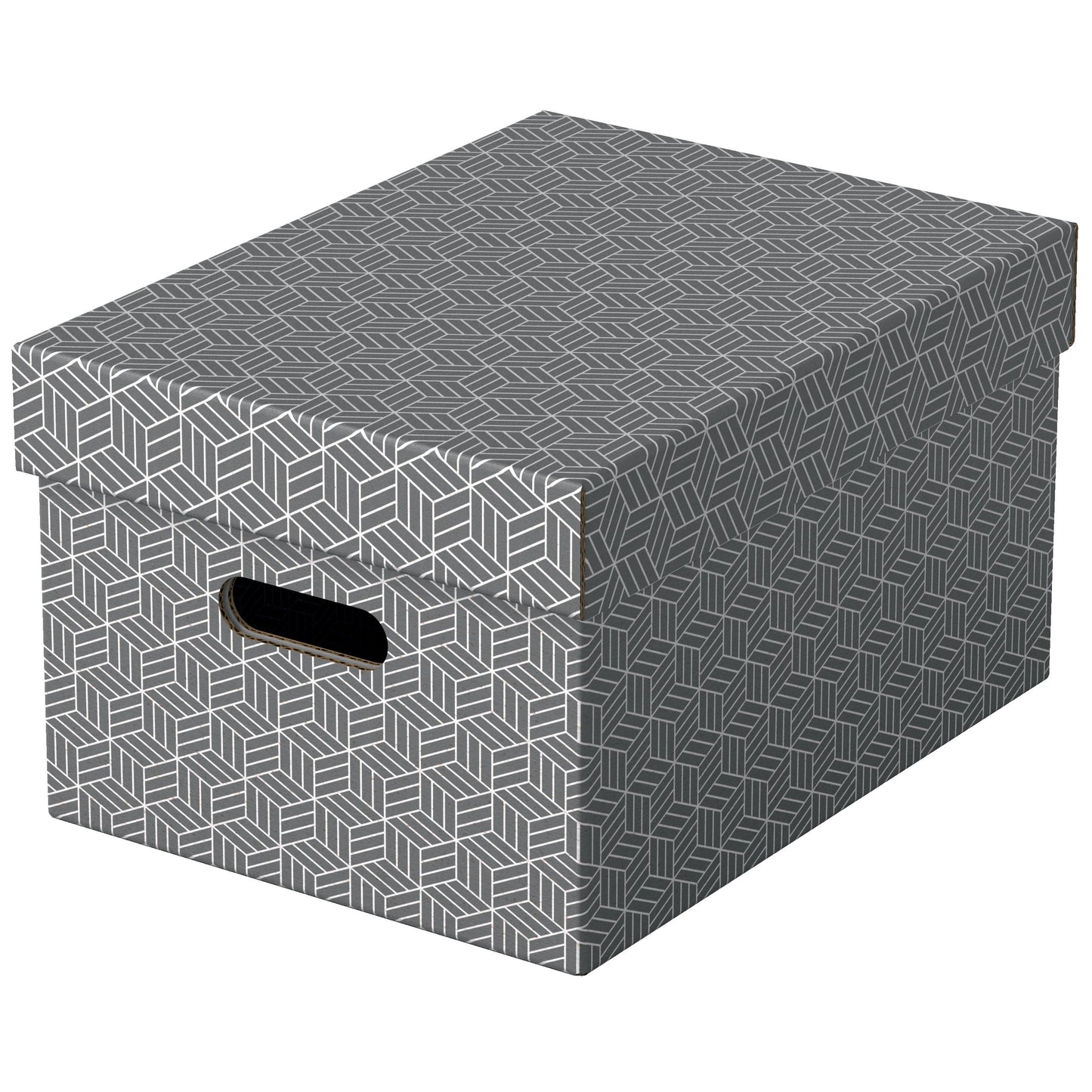 Esselte - Storage box home medium 265x205x365mm gray 3 pieces