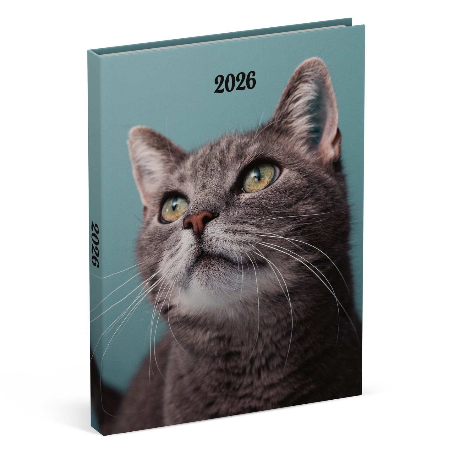 Lannoo - Agenda 2026 my favorite friends 7d/2p cats