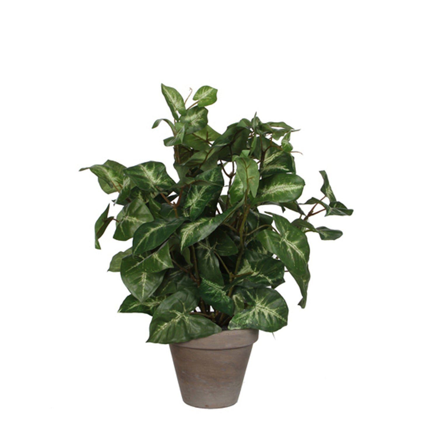 Mica Decorations - Kunstplant mica syngonium groen in pot