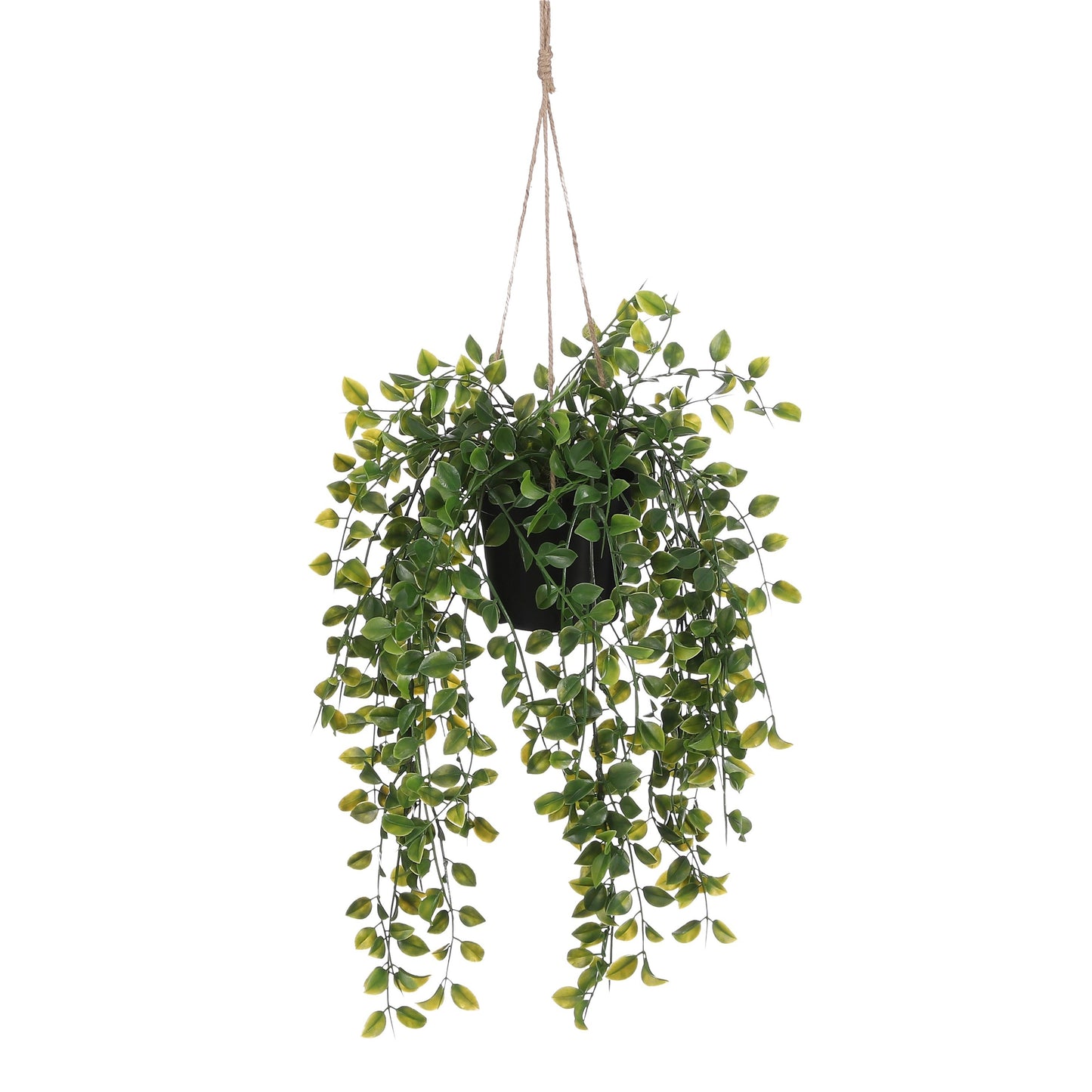 Mica Decorations - Kunstplant mica ficus hangend in pot groen | 6 stuks