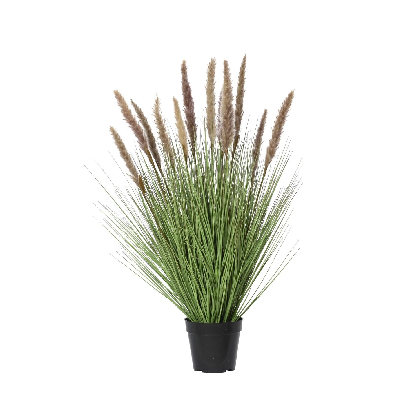 Everlands - Kunstgras met pluimen 80cm bruin