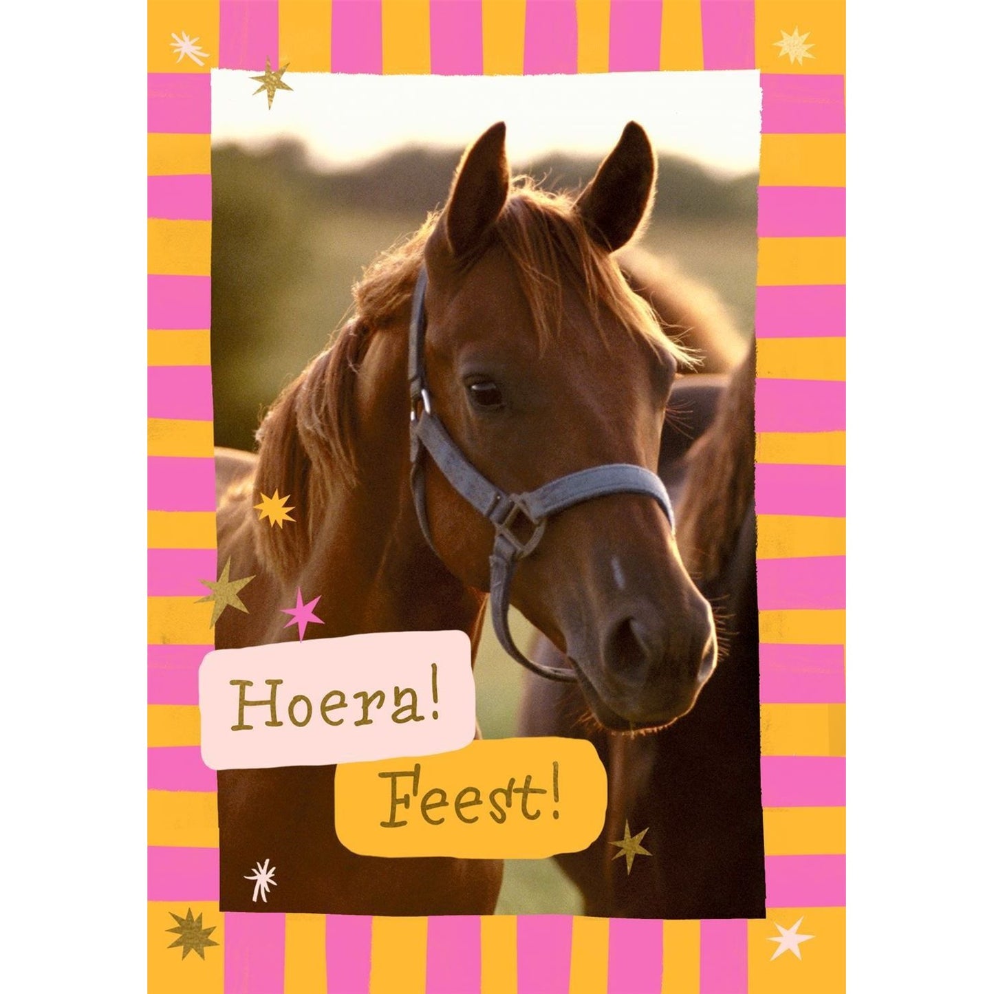 Hallmark - Wenskaart uitnodiging paarden 6 stuks