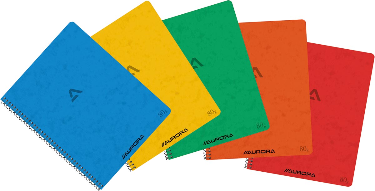 Aurora - Writing 80 spiraalschrift, ft 21 x 16,5 cm, 120 bladzijden, commercieel geruit