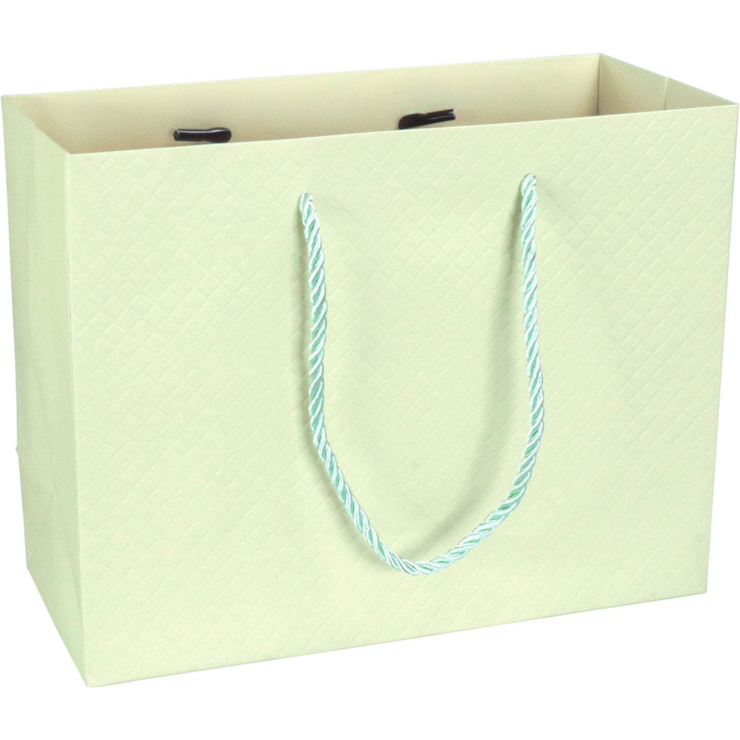 Klika - Tas | Papier | embossed | 23x 10x18cm | draagtas | pastelgroen | 40 stuks