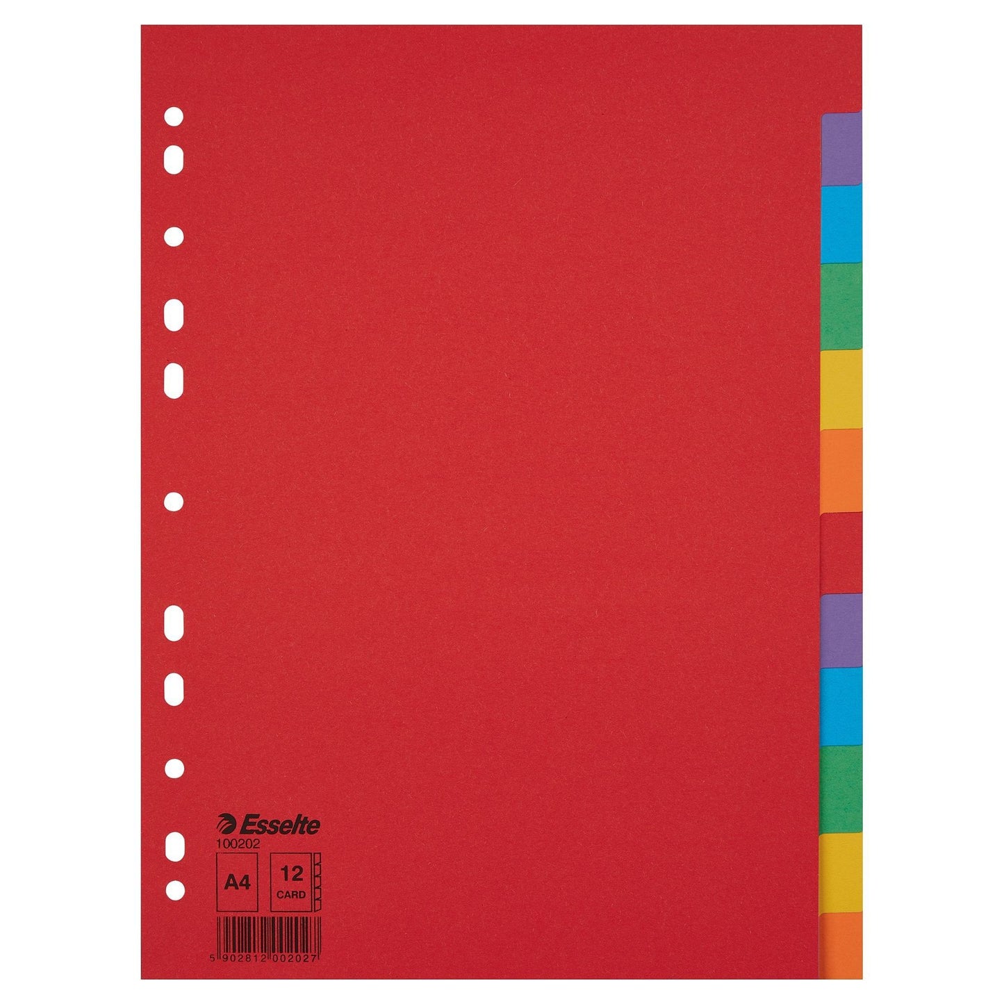 Esselte - Tabs Economy A4 12-piece cardboard 11-ring assorted | 10 pieces