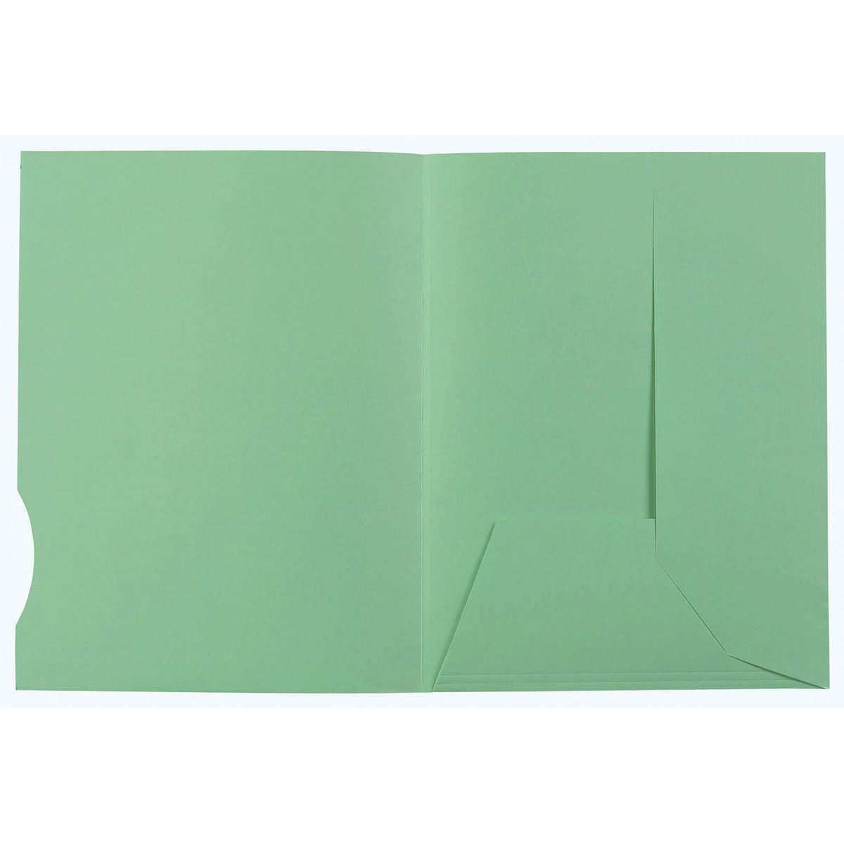 Exacompta - file folder Super 210, pack of 50, green