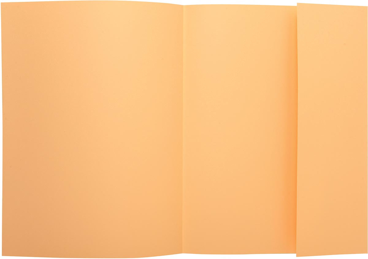 Exacompta - file folder Super 210, pack of 50 pieces, gems