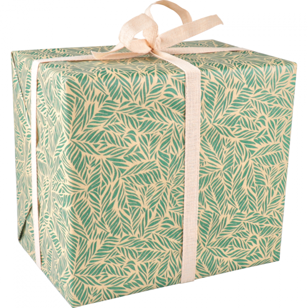 Klika - Papel de regalo | 50cm | 100 metros | 65gr/m² | Hojas | verde/kraft