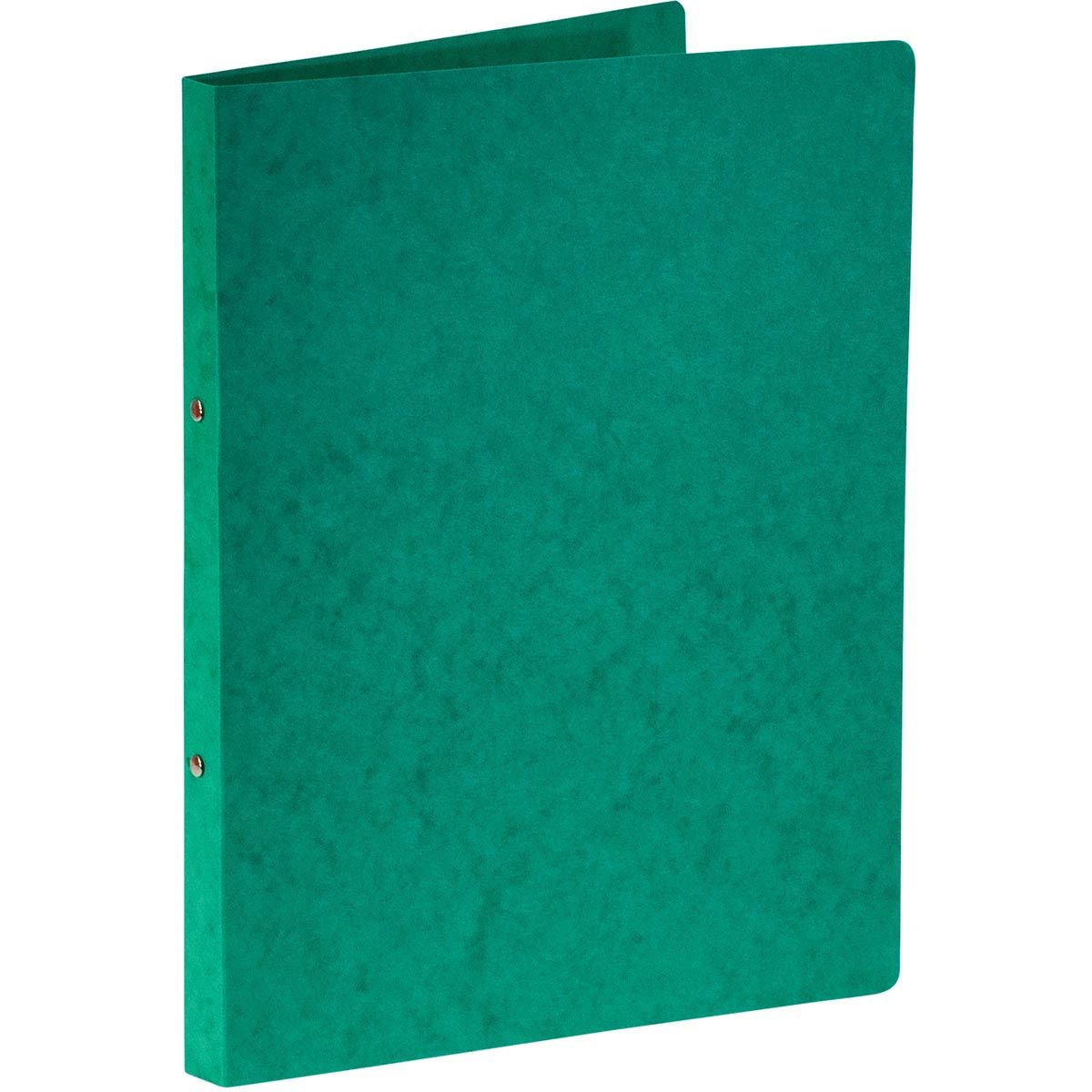 Bronyl - ringmap, voor ft A4, uit glanskarton, 2 ringen van 16 mm, groen