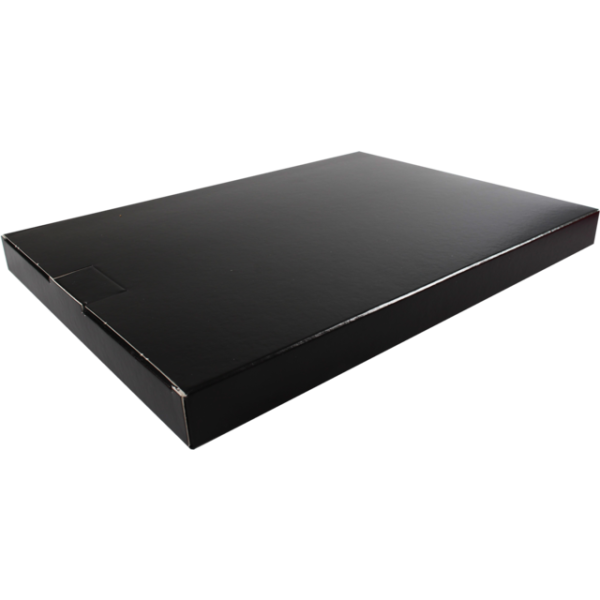 SendProof® - Brievenbusdoos 250x28x350mm 50 stuks Zwart