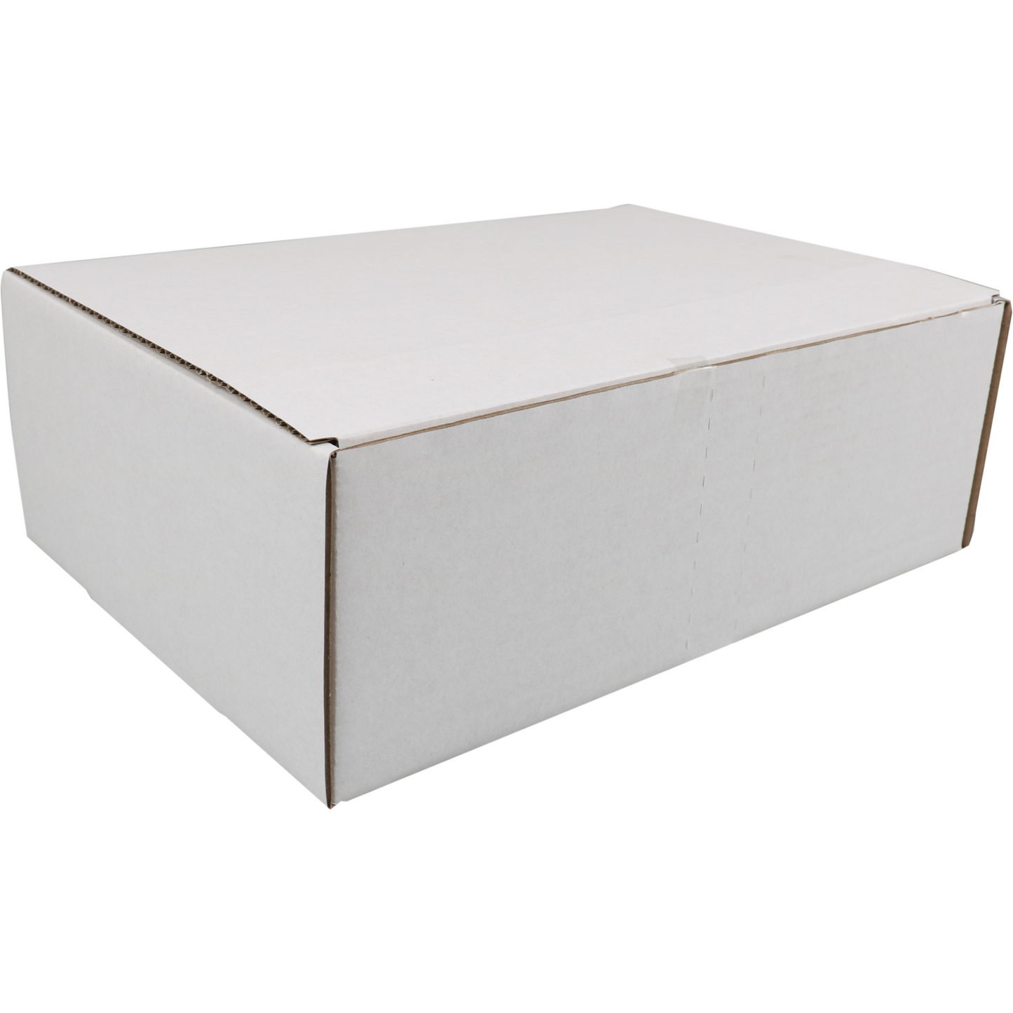 SendProof - Postpakketdoos | golfkarton | 302x215x105mm | gestanst | wit | 25 stuks