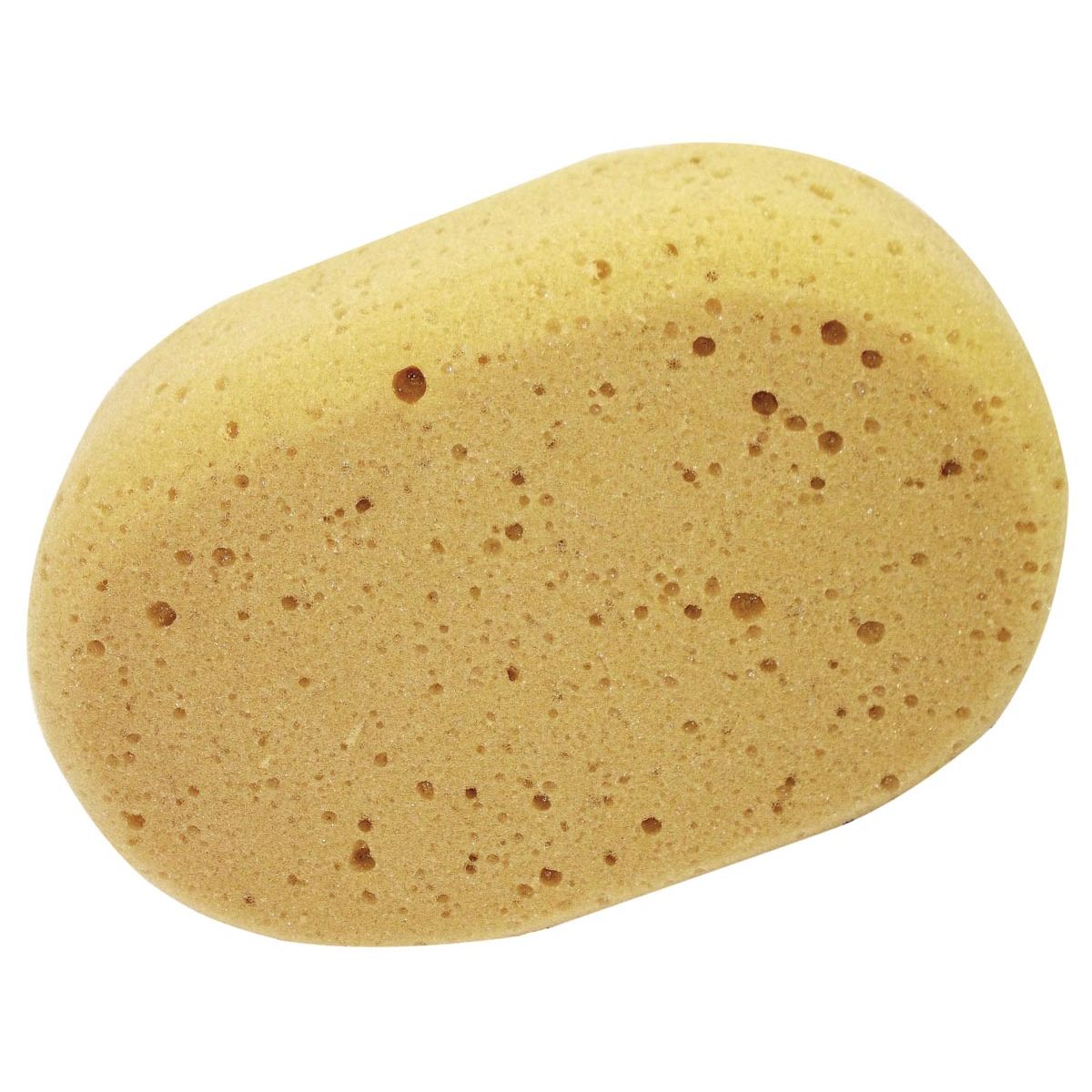 Aqualine - éponge ovale pi 20 x 14 x 7 cm