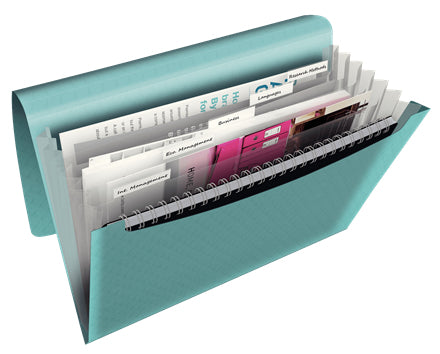 Esselte - PROJEKTORDNER COLOUR'ICE A4 BLAU