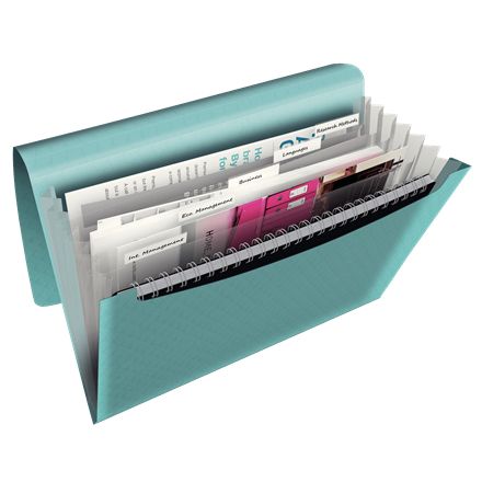 Esselte - PROJECT FOLDER COLOUR'ICE A4 BLUE