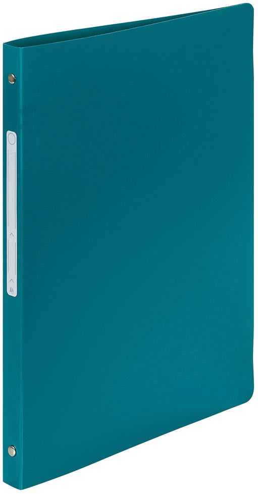 Exacompta – Blickdichter Ringordner, ft A4, 2 Ringe à 1,5 cm, grün