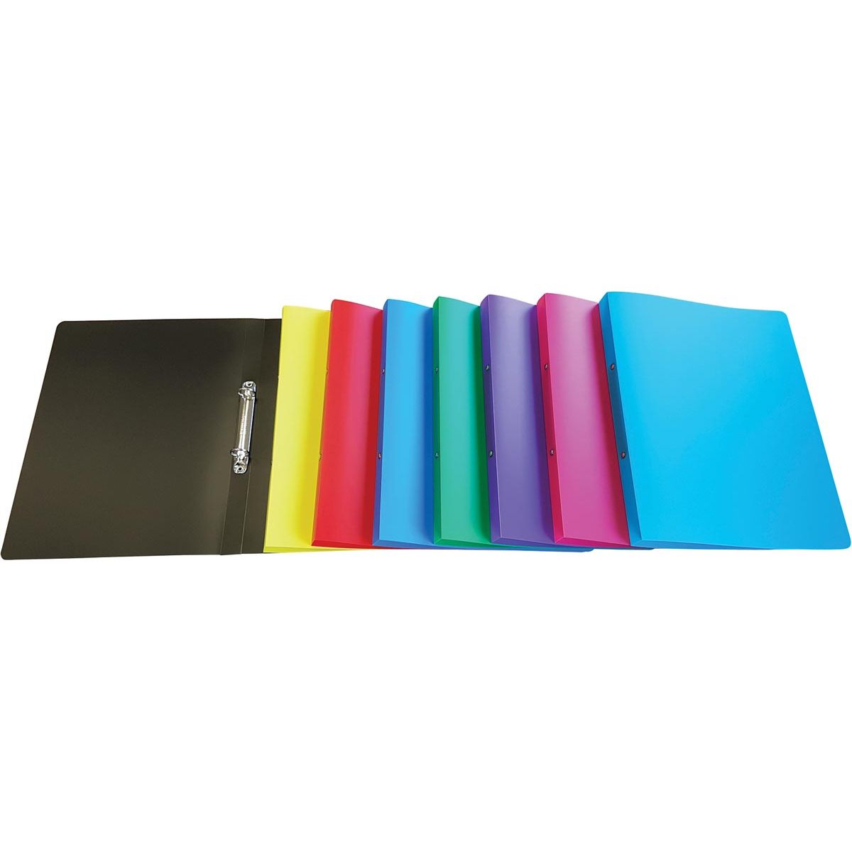 Alpha - classeur à anneaux, pour ft A4, en PP, 2 anneaux de 16 mm, couleurs assorties