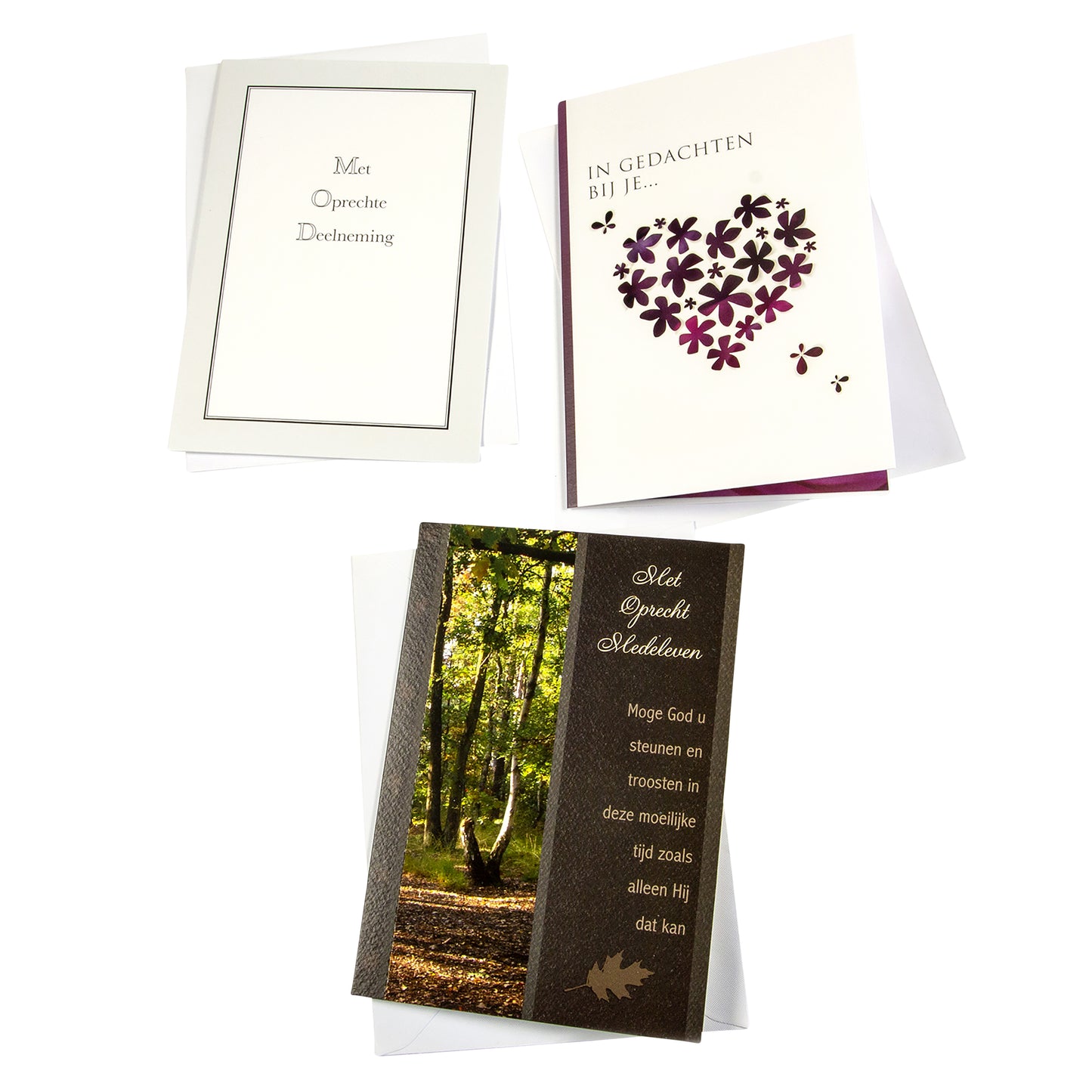 Paperclip - Wenskaart navulset deelneming 12 kaarten