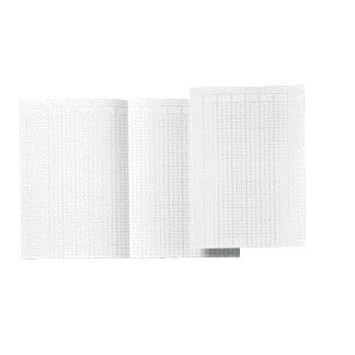 Atlanta von Jalema – Buchhalterpapier Djois A4 14 Spalten 100 Blatt