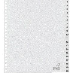Canguro - Lengüetas 23 agujeros G420CM-B 1-20 numeradas anchas PP
