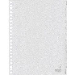 Kangaro - Tabs 23-hole G412JM 12-piece months gray PP | 25 pieces