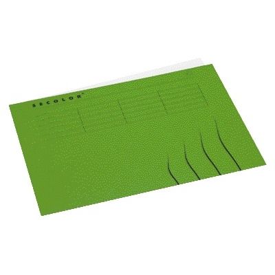 Jalema - Vouwmap a4 recy karton 250gr gn