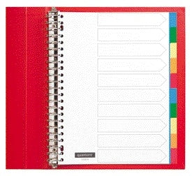 Quantore - Tabs 23-Loch 10-teilige sortierte Tabs PP