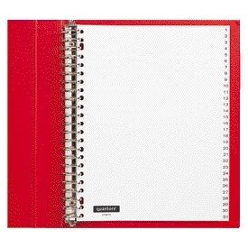 Quantore - Tabs 23 holes 1-31 numbered white PP | 5 pieces