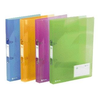 Rexel - Raccoglitore ad anelli Ice A4 2 anelli O-meccanismo 25 mm PP assortiti | 10 pezzi