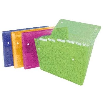 Rexel - Sorteermap Ice 6-vaks assorti | 10 stuks