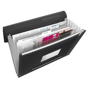 Esselte - Project folder Vivida A4 6 compartments PP black