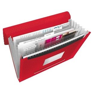 Esselte - Cartella progetti Vivida A4 6 scomparti PP rosso