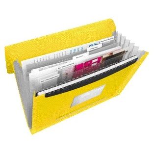 Esselte - Cartella progetti Vivida A4 6 scomparti PP giallo