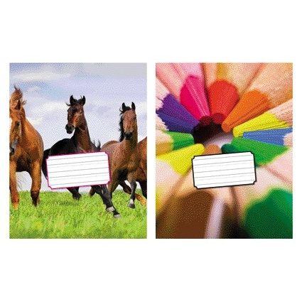 Kangaro - Schrift 165x210mm schoonschrijven 72 pagina's 80gr