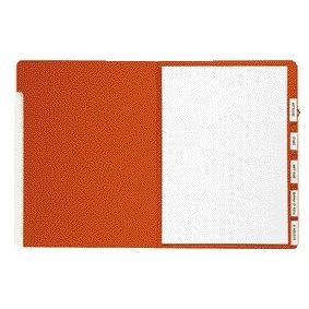 Jalema - Sorting folder Djois personalizable A4 6 tabs red | 15 pieces