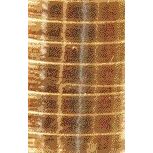 Haza - Polyband 5mm x 250m dorado metalizado
